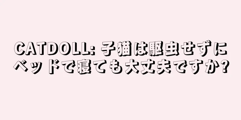 CATDOLL: 子猫は駆虫せずにベッドで寝ても大丈夫ですか?