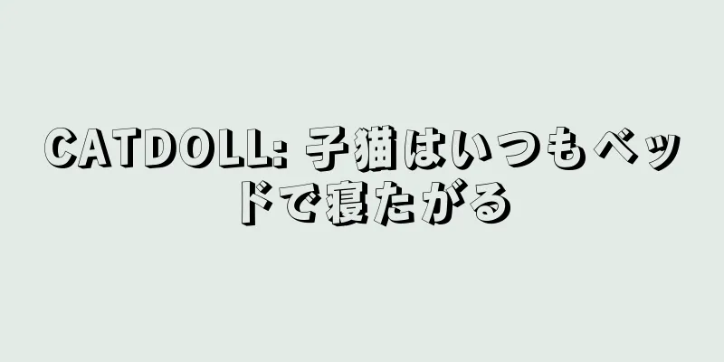 CATDOLL: 子猫はいつもベッドで寝たがる