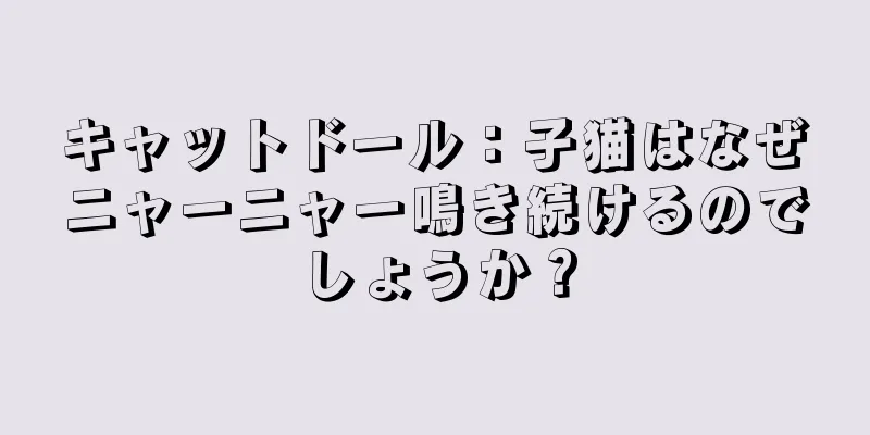 キャットドール：子猫はなぜニャーニャー鳴き続けるのでしょうか？