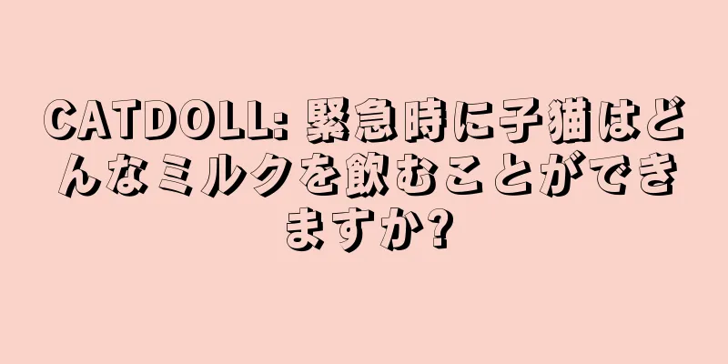 CATDOLL: 緊急時に子猫はどんなミルクを飲むことができますか?