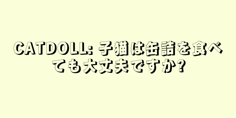 CATDOLL: 子猫は缶詰を食べても大丈夫ですか?