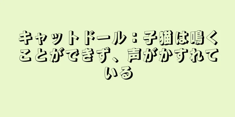 キャットドール：子猫は鳴くことができず、声がかすれている