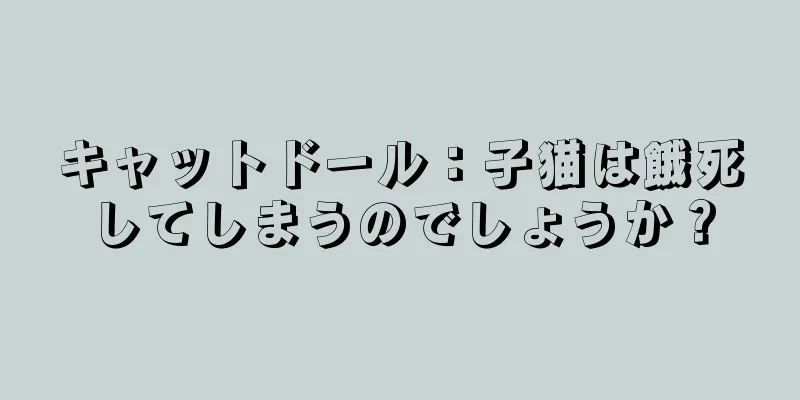 キャットドール：子猫は餓死してしまうのでしょうか？