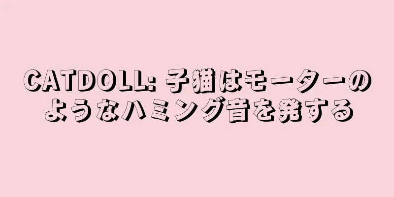 CATDOLL: 子猫はモーターのようなハミング音を発する