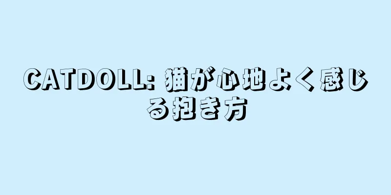 CATDOLL: 猫が心地よく感じる抱き方