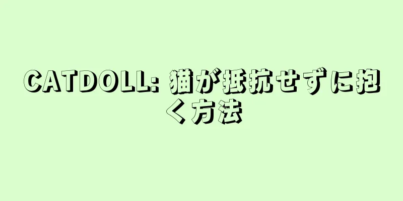 CATDOLL: 猫が抵抗せずに抱く方法