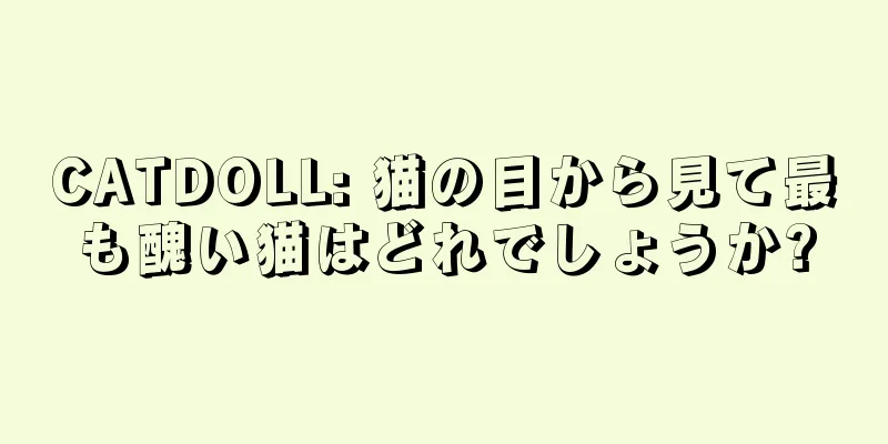 CATDOLL: 猫の目から見て最も醜い猫はどれでしょうか?