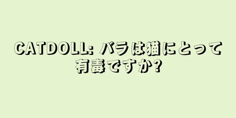 CATDOLL: バラは猫にとって有毒ですか?