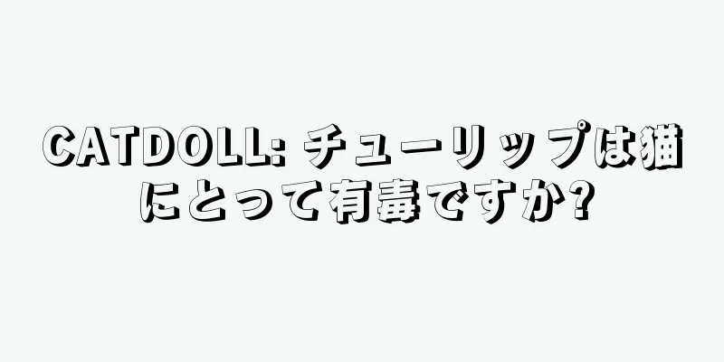 CATDOLL: チューリップは猫にとって有毒ですか?