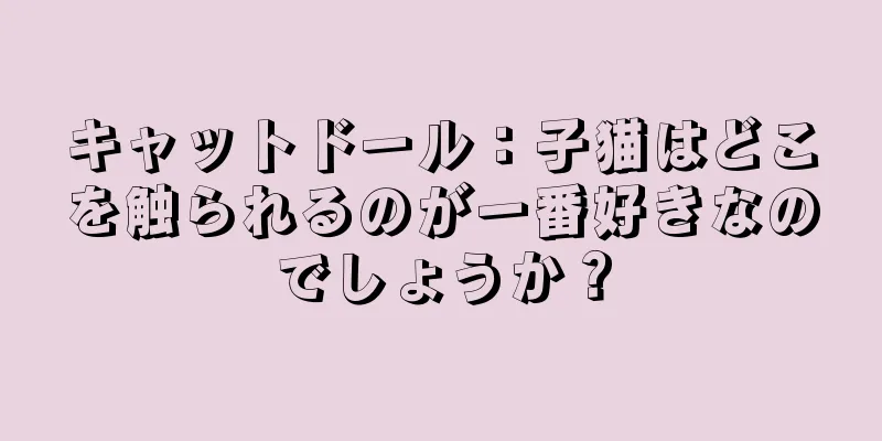 キャットドール：子猫はどこを触られるのが一番好きなのでしょうか？