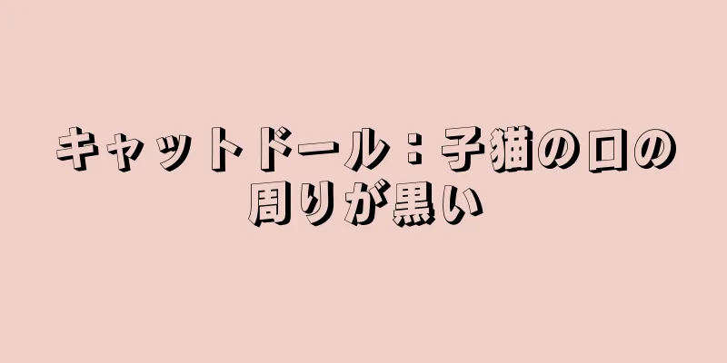 キャットドール：子猫の口の周りが黒い