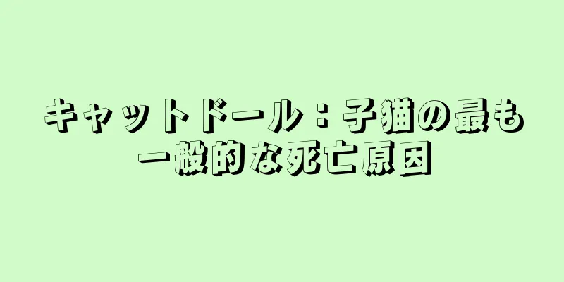 キャットドール：子猫の最も一般的な死亡原因