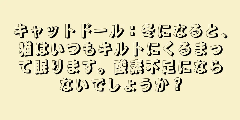 キャットドール：冬になると、猫はいつもキルトにくるまって眠ります。酸素不足にならないでしょうか？