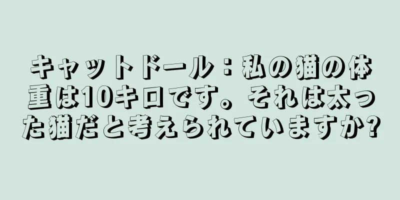 キャットドール：私の猫の体重は10キロです。それは太った猫だと考えられていますか?