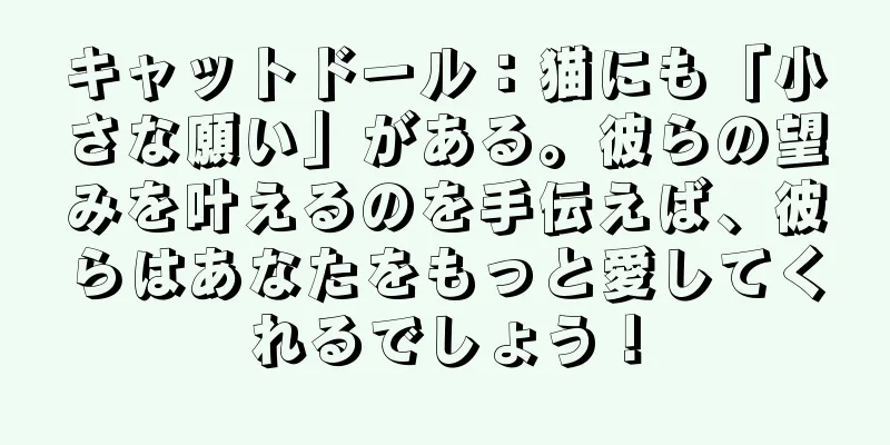 キャットドール：猫にも「小さな願い」がある。彼らの望みを叶えるのを手伝えば、彼らはあなたをもっと愛してくれるでしょう！