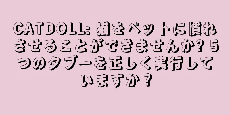 CATDOLL: 猫をペットに慣れさせることができませんか? 5つのタブーを正しく実行していますか？