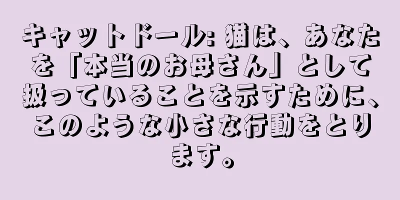 キャットドール: 猫は、あなたを「本当のお母さん」として扱っていることを示すために、このような小さな行動をとります。