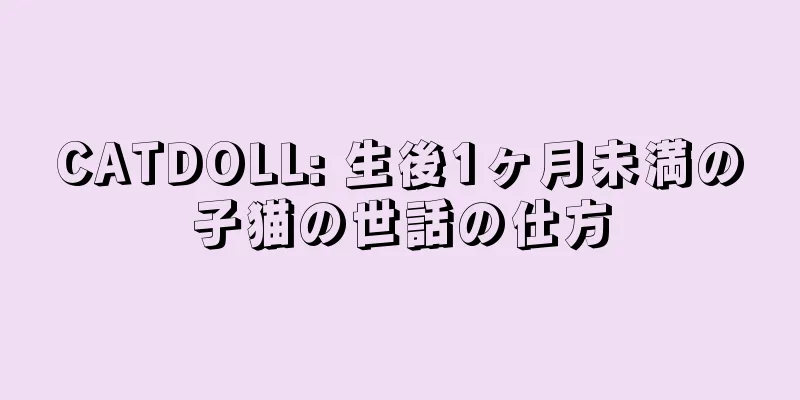CATDOLL: 生後1ヶ月未満の子猫の世話の仕方