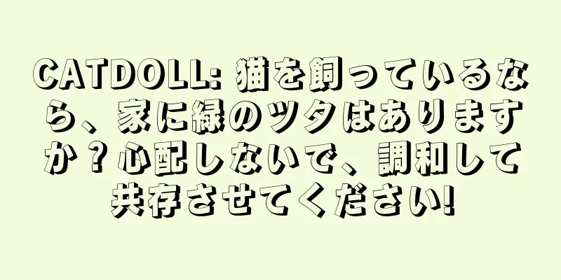 CATDOLL: 猫を飼っているなら、家に緑のツタはありますか？心配しないで、調和して共存させてください!