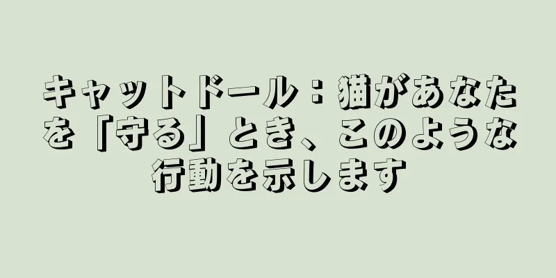キャットドール：猫があなたを「守る」とき、このような行動を示します