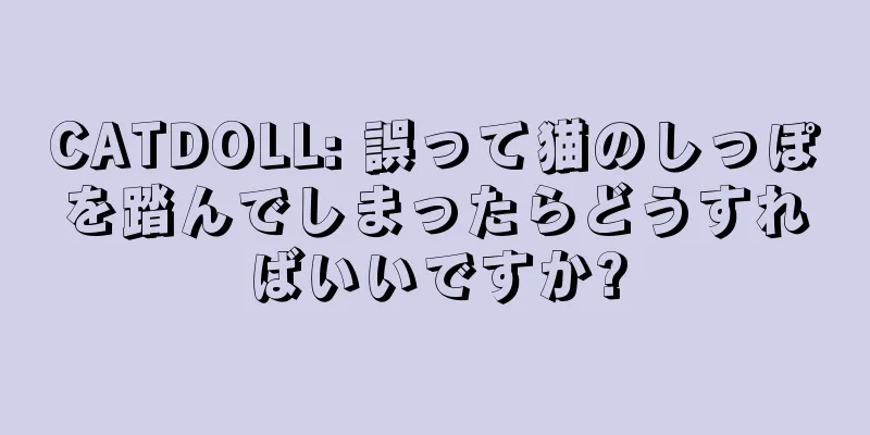 CATDOLL: 誤って猫のしっぽを踏んでしまったらどうすればいいですか?