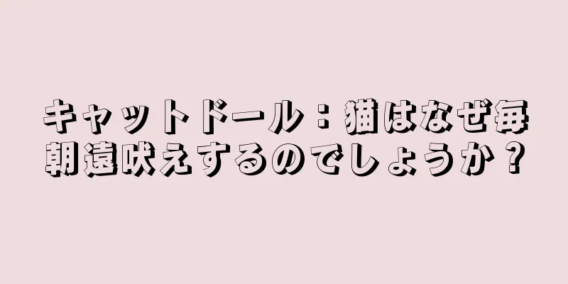 キャットドール：猫はなぜ毎朝遠吠えするのでしょうか？