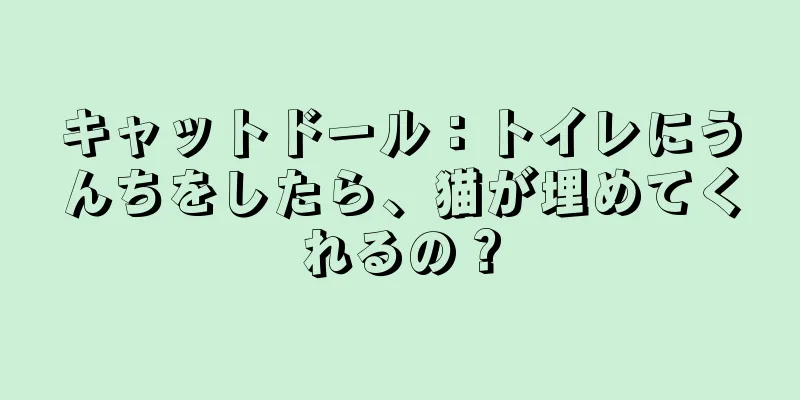 キャットドール：トイレにうんちをしたら、猫が埋めてくれるの？