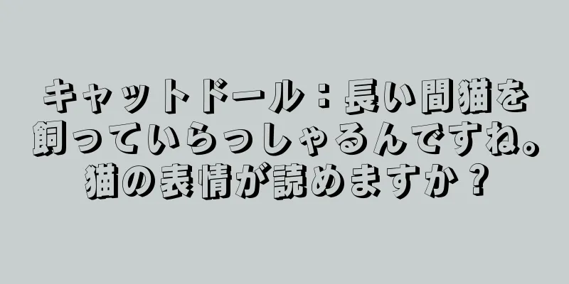 キャットドール：長い間猫を飼っていらっしゃるんですね。猫の表情が読めますか？