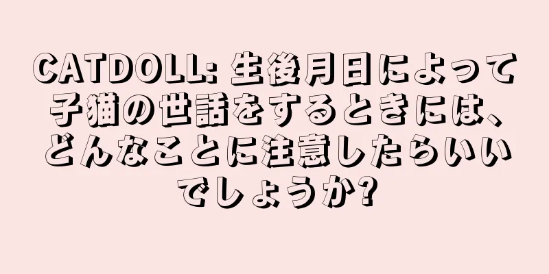CATDOLL: 生後月日によって子猫の世話をするときには、どんなことに注意したらいいでしょうか?