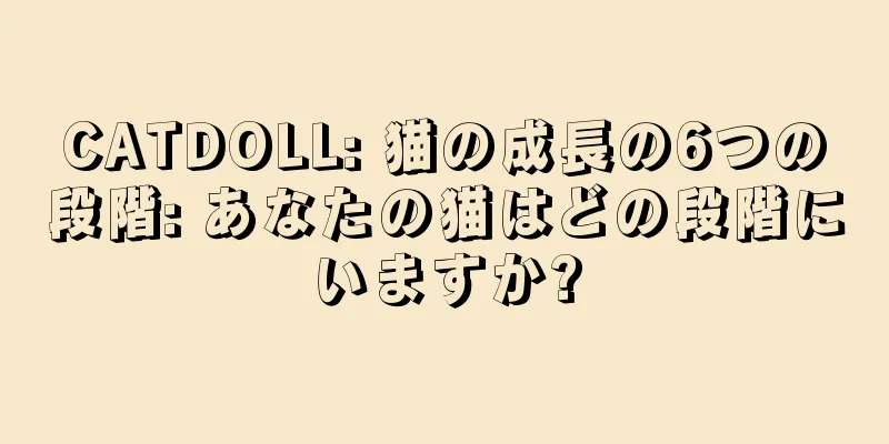 CATDOLL: 猫の成長の6つの段階: あなたの猫はどの段階にいますか?