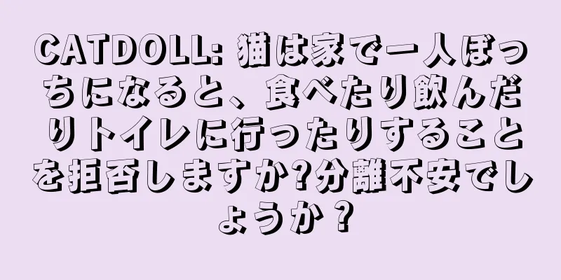 CATDOLL: 猫は家で一人ぼっちになると、食べたり飲んだりトイレに行ったりすることを拒否しますか?分離不安でしょうか？