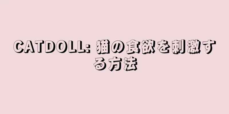 CATDOLL: 猫の食欲を刺激する方法