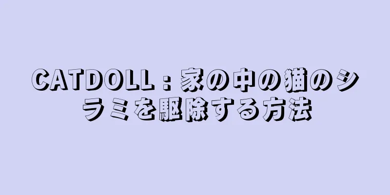 CATDOLL : 家の中の猫のシラミを駆除する方法