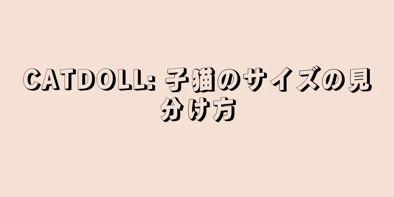CATDOLL: 子猫のサイズの見分け方