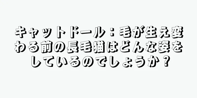 キャットドール：毛が生え変わる前の長毛猫はどんな姿をしているのでしょうか？