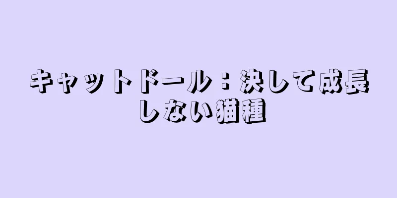 キャットドール：決して成長しない猫種