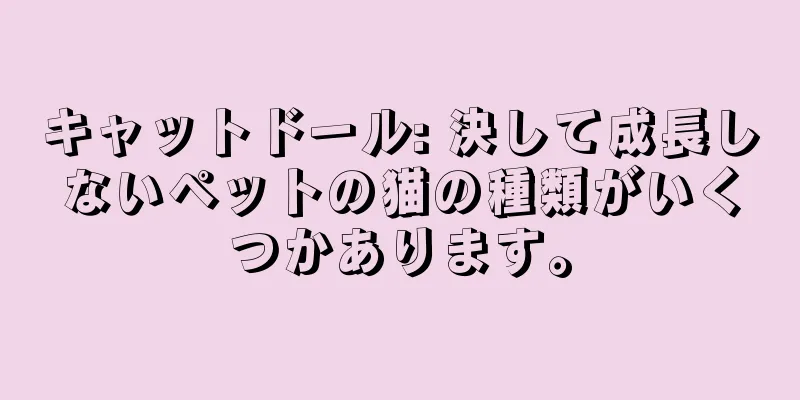 キャットドール: 決して成長しないペットの猫の種類がいくつかあります。