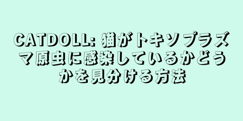 CATDOLL: 猫がトキソプラズマ原虫に感染しているかどうかを見分ける方法