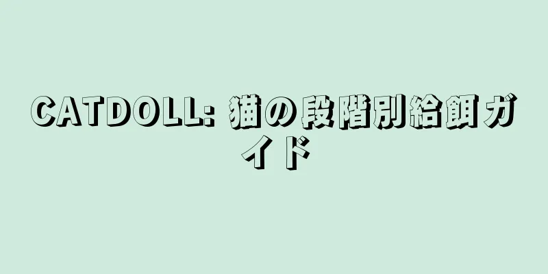 CATDOLL: 猫の段階別給餌ガイド