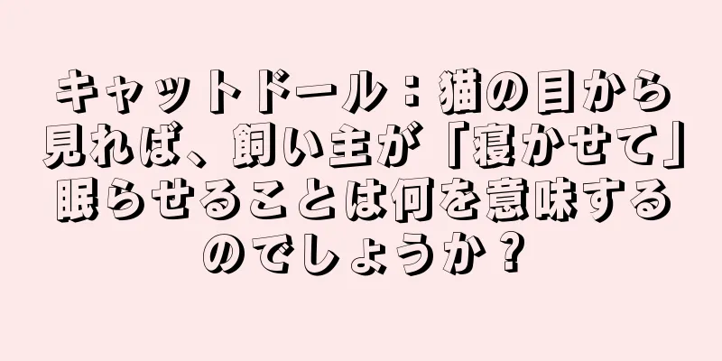 キャットドール：猫の目から見れば、飼い主が「寝かせて」眠らせることは何を意味するのでしょうか？