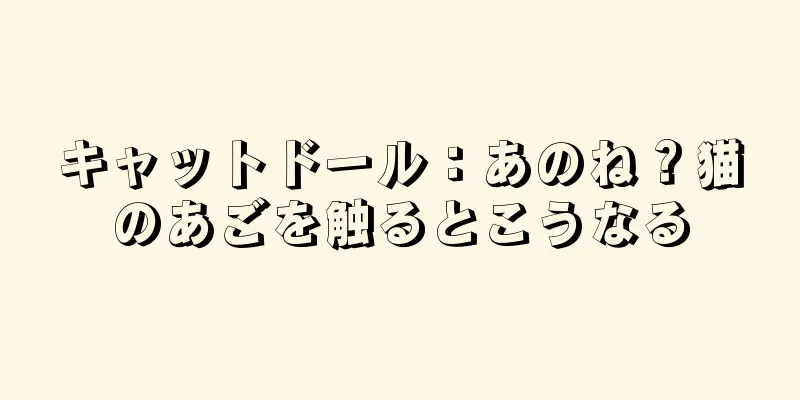 キャットドール：あのね？猫のあごを触るとこうなる