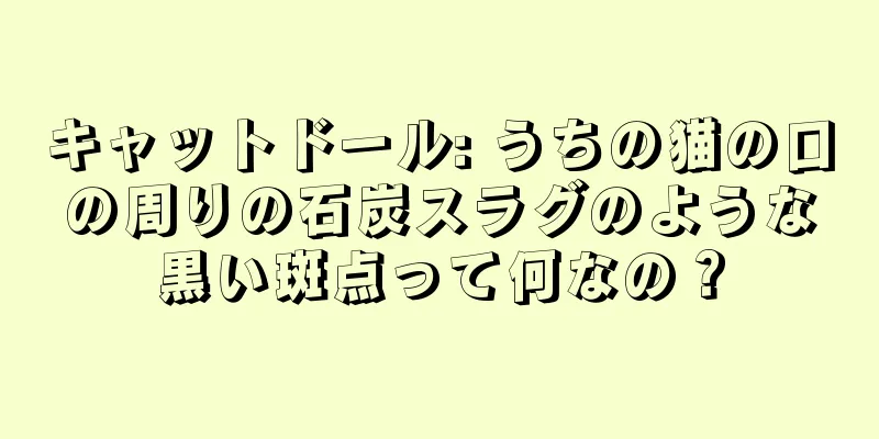 キャットドール: うちの猫の口の周りの石炭スラグのような黒い斑点って何なの？