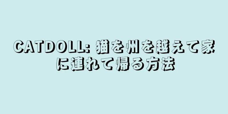 CATDOLL: 猫を州を越えて家に連れて帰る方法