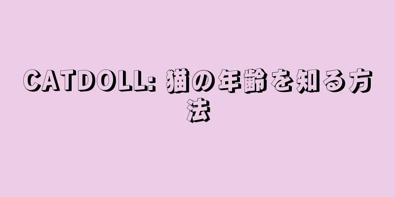CATDOLL: 猫の年齢を知る方法
