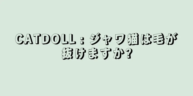 CATDOLL : ジャワ猫は毛が抜けますか?