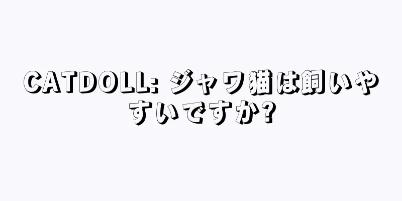 CATDOLL: ジャワ猫は飼いやすいですか?