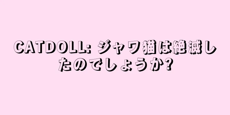 CATDOLL: ジャワ猫は絶滅したのでしょうか?