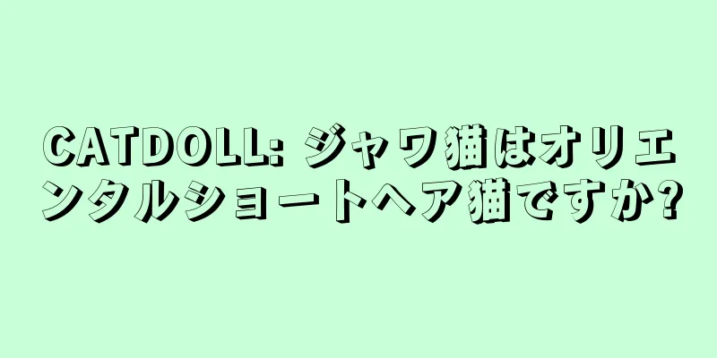 CATDOLL: ジャワ猫はオリエンタルショートヘア猫ですか?