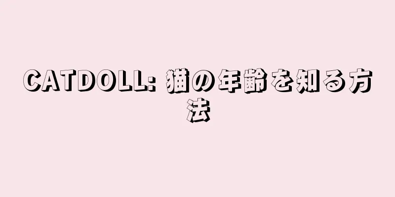 CATDOLL: 猫の年齢を知る方法