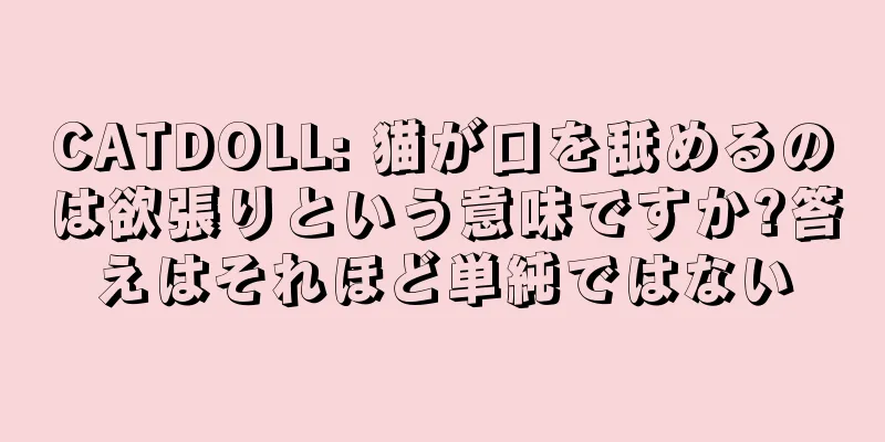 CATDOLL: 猫が口を舐めるのは欲張りという意味ですか?答えはそれほど単純ではない